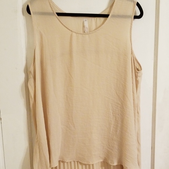 Melissa McCarthy Tops - EUC Melissa McCarthy High Low Sheer Tank Top Melissa McCarthy Tops - EUC Melissa McCarthy High Low Sheer Tank Top